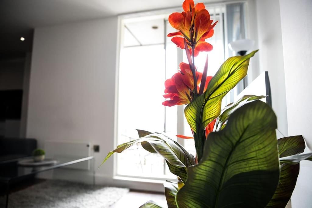 Modern 2 Bedroom Apartment - City Centre - Parking Manchester Kültér fotó